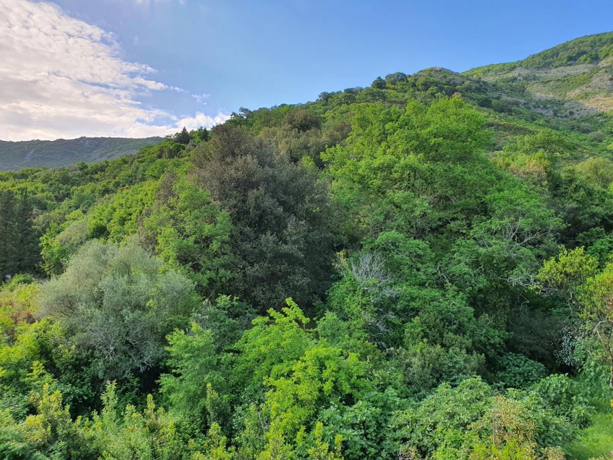 Apartment Bijelavista Herceg Novi Cameră foto